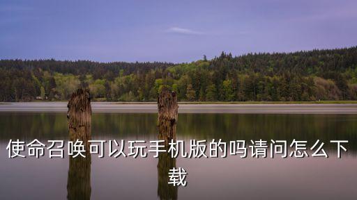 使命召唤可以玩手机版的吗请问怎么下载