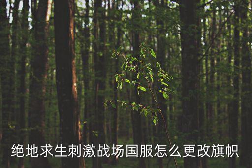 手游绝地求生怎么改国标，绝地求生图标怎么改的