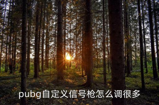 pubg自定义信号枪怎么调很多