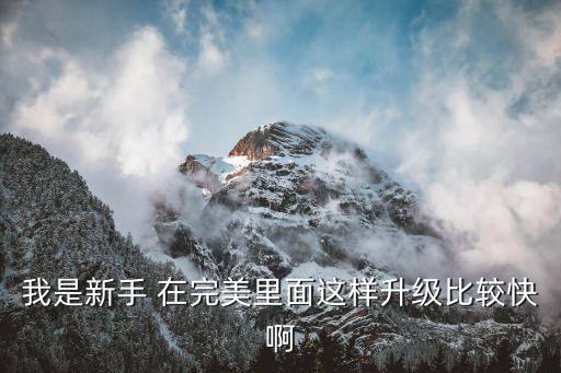 我是新手 在完美里面这样升级比较快啊