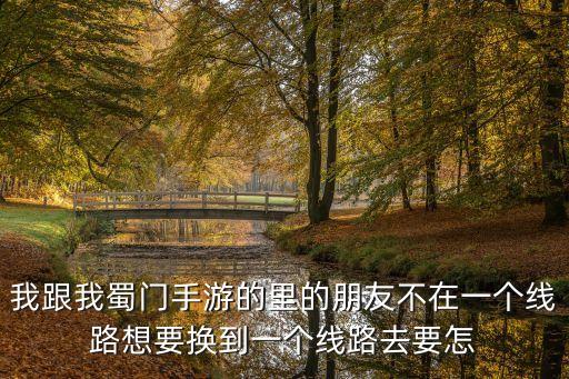 我跟我蜀门手游的里的朋友不在一个线路想要换到一个线路去要怎