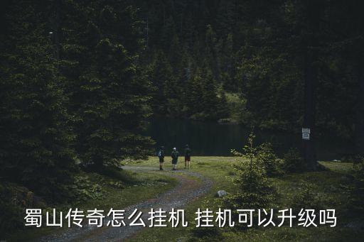 蜀山传奇怎么挂机 挂机可以升级吗