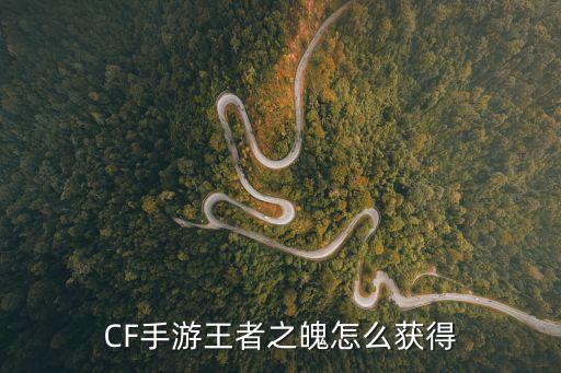 cf手游王魄怎么给队友，CF手游王者之魄怎么获得