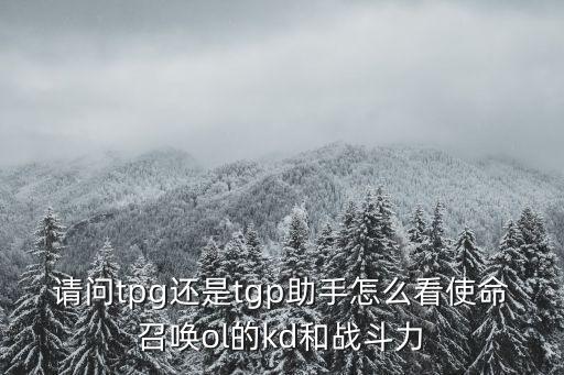 请问tpg还是tgp助手怎么看使命召唤ol的kd和战斗力