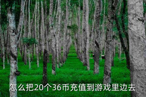 怎么把20个36币充值到游戏里边去