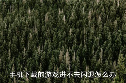 手机下载的游戏进不去闪退怎么办