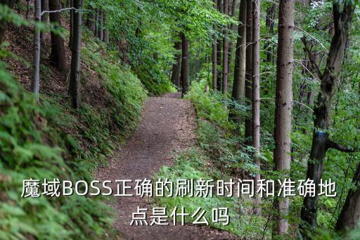 魔域BOSS正确的刷新时间和准确地点是什么吗