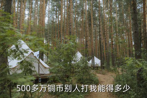 神武手游500万铜币怎么算，500多万铜币别人打我能得多少