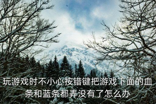 玩游戏时不小心按错键把游戏下面的血条和蓝条都弄没有了怎么办