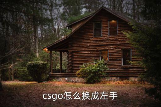 csgo怎么换成左手