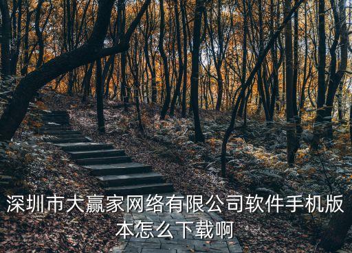 深圳市大赢家网络有限公司软件手机版本怎么下载啊