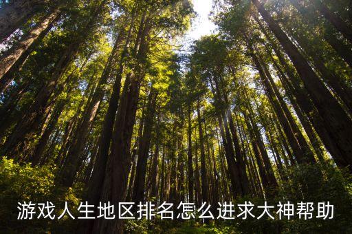 游戏人生地区排名怎么进求大神帮助