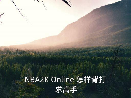 nba 2k22 手游怎么背打，NBA2K Online 怎样背打 求高手