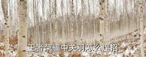 王者荣耀手游关羽怎么连招，王者荣耀中关羽怎么连招