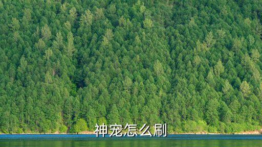 神宠怎么刷