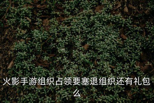 火影手游组织占领要塞退组织还有礼包么