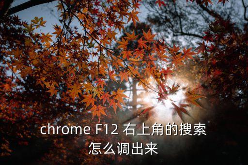 chrome F12 右上角的搜索怎么调出来