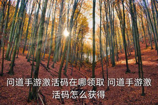 问道手游激活码在哪领取 问道手游激活码怎么获得