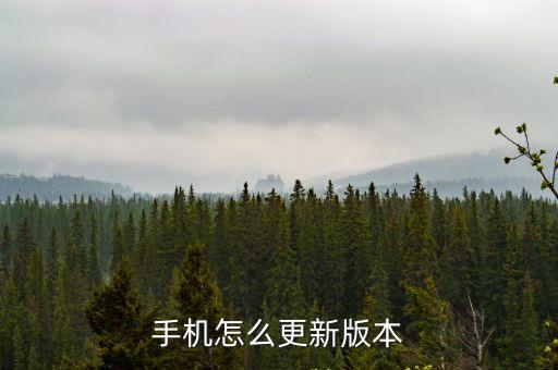 手机怎么更新版本