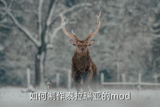 泰亚瑞亚手游怎么做mod，泰拉瑞亚1308怎么安装mod