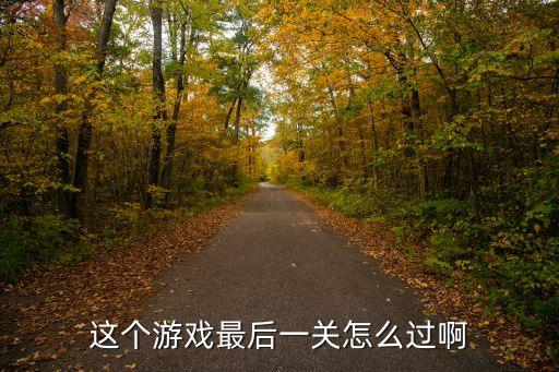 这个游戏最后一关怎么过啊