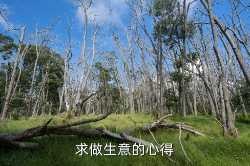 怎么拼冰雪城堡热销款手游，我的世界手机版0105冰雪城堡种子