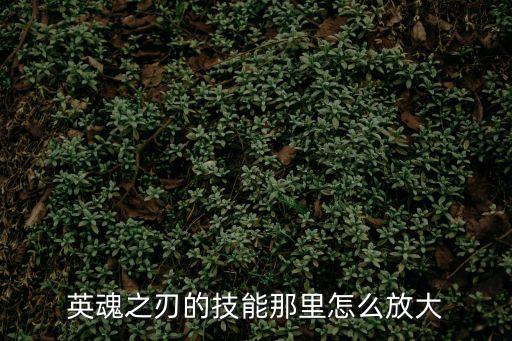 英魂之刃的技能那里怎么放大