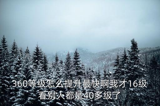 360等级怎么提升最快啊我才16级看别人都是40多级了