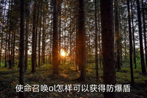 使命召唤ol怎样可以获得防爆盾
