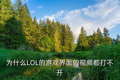 为什么LOL的游戏界面的视频都打不开