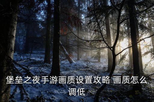 堡垒之夜手游画质设置攻略 画质怎么调低