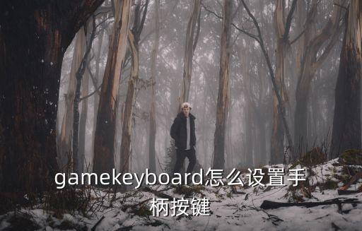 gamekeyboard怎么设置手柄按键