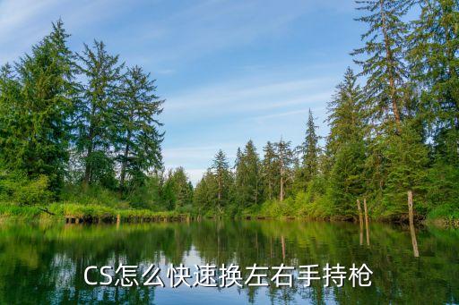 CS怎么快速换左右手持枪