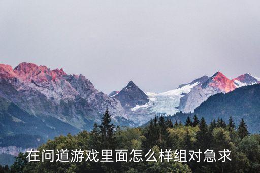 在问道游戏里面怎么样组对急求