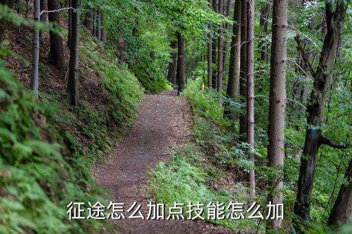 征途怎么加点技能怎么加
