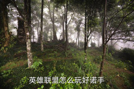 英雄联盟怎么玩好诺手