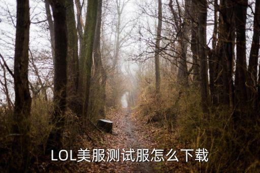 LOL美服测试服怎么下载