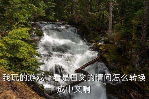 我玩的游戏一看是日文的请问怎么转换成中文啊