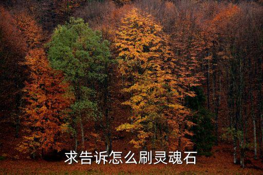求告诉怎么刷灵魂石