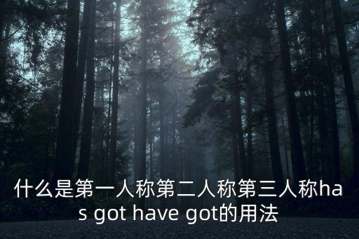 什么是第一人称第二人称第三人称has got have got的用法