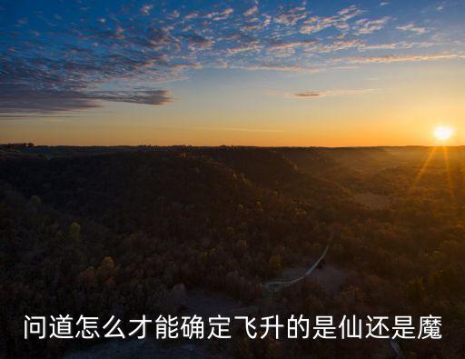 问道手游怎么判断飞升，问道怎么才能确定飞升的是仙还是魔