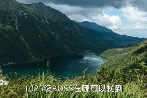 1025级BOSS在哪可以找到