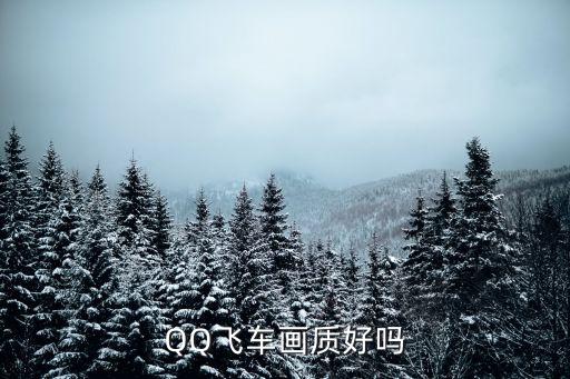 QQ飞车画质好吗