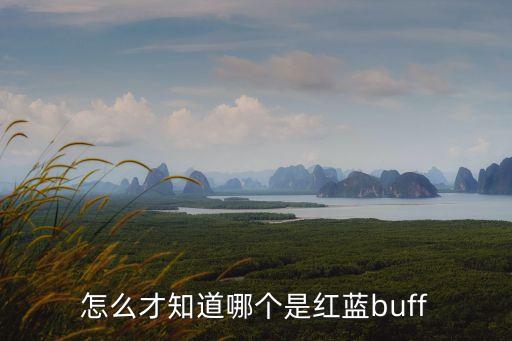 lol手游怎么看红蓝buff，英雄联盟的红蓝buff怎么辨认的