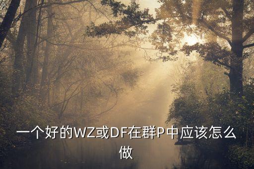 一个好的WZ或DF在群P中应该怎么做