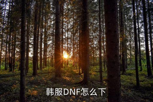 电脑怎么下载dnf韩服手游，韩服DNF怎么下