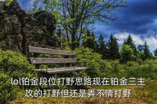 lol铂金段位打野思路现在铂金三主攻的打野但还是弄不清打野