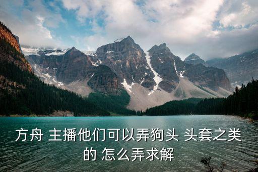 方舟手游安全帽怎么做视频，方舟 主播他们可以弄狗头 头套之类的 怎么弄求解