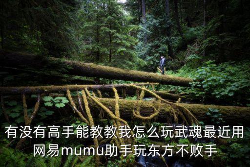 有没有高手能教教我怎么玩武魂最近用网易mumu助手玩东方不败手