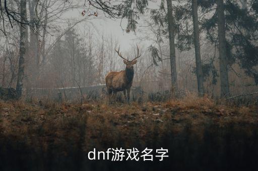 dnf游戏名字